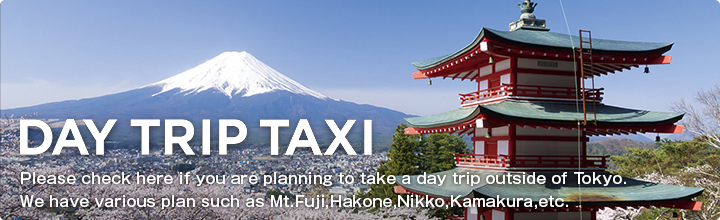 DAY TRIP TAXI